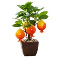 thumbnail image 1 of Bonsái de frutas, pequeños adornos creativos, decoraciones de flores de simulación, plantas verdes de simulación, 1 of 5