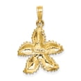thumbnail image 4 of FJC Finejewelers 14k Yellow Gold Beaded Starfish Charm, 4 of 4