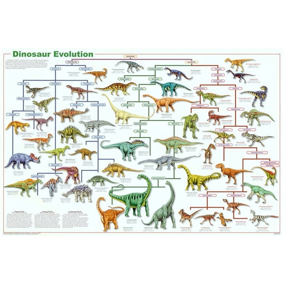 Dinosaur Evolution Educational Science Chart Poster 36 x 24in