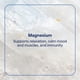 thumbnail image 2 of Suplemento Trace Minerals Magnesio Masticable 120 tabletas, 2 of 8