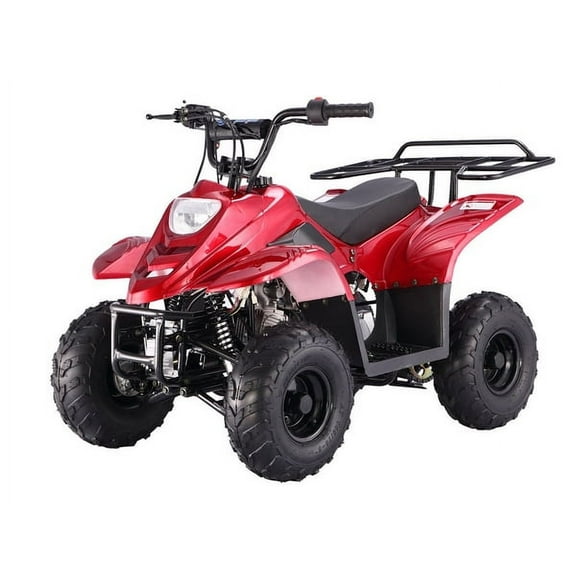 TaoTao Boulder 110B1 110cc ATV Quad 4 Wheeler is Fully Automatic for kids, Unisex children comes with Kill switch Rear metal rack