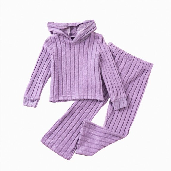 Wonitaaizi Kid Girl Clothes Fall Long Sleeve Sweatshirt Pants Set Casual 2 Piece Outfits Tracksuit (5-6 Years,Purple)