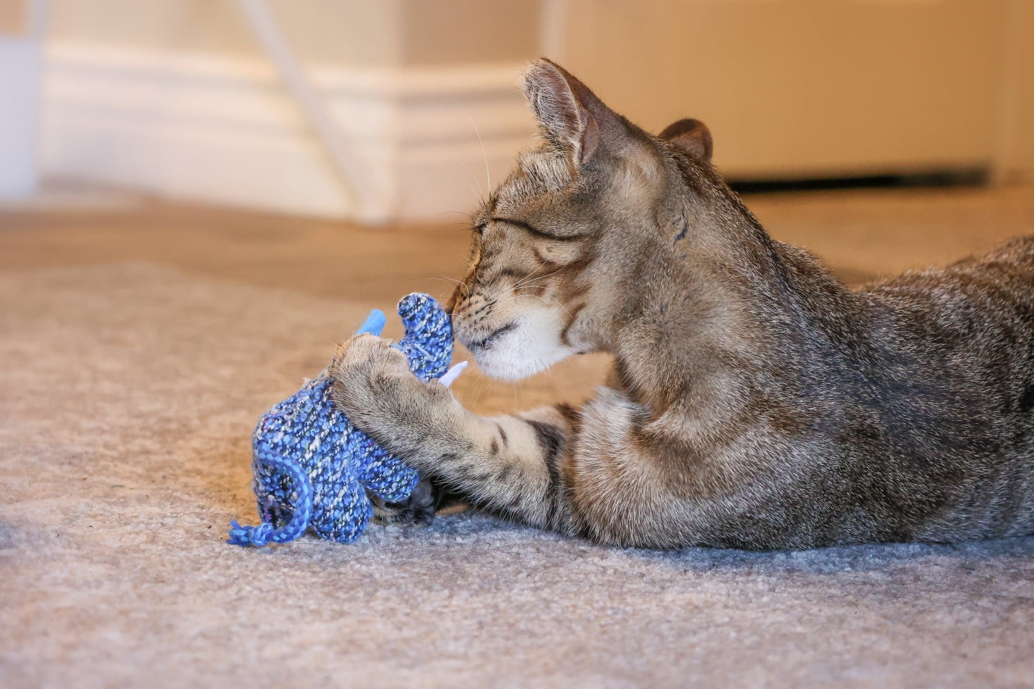 Vibrant Life Knit Animals Cat Toy, 2 Pack