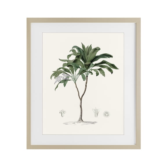 Stupell Industries Coastal Palms Vintage Birch Framed Print Under Glass, design by Val Rhodes