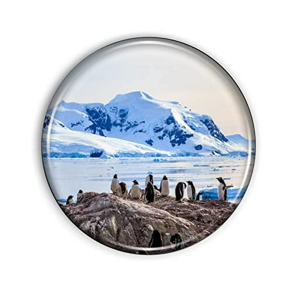 Antarctic Magnet Strong And Flexible Antarctic Refrigerator Magnet 1.1 Inch Epoxy Dome