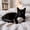 Gray GY, variant on AuroraX Realistic Squeaky Mouse Cat Toy Interactive Cat Toys for Indoor Kittens Durable Natural Calming Indoor Cat Toys for Small Cats Black National Dog Day International Cat Day