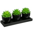 thumbnail image 4 of Northlight Mini Artificial Potted Succulents with Wood Planter - 5" - Set of 3, 4 of 6