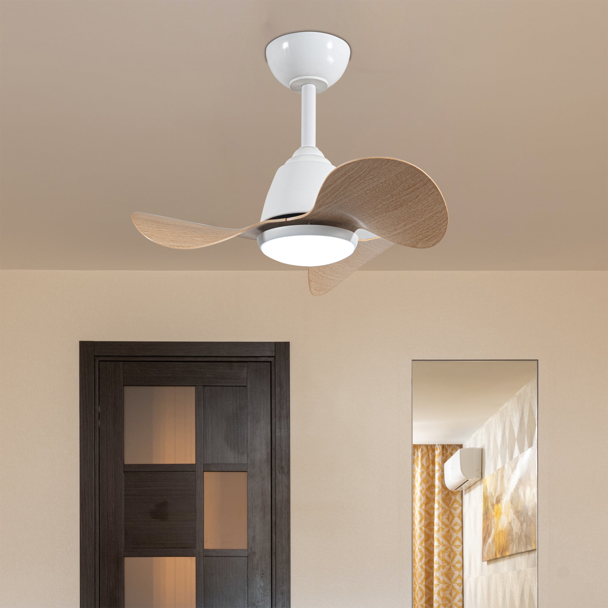 Cian 24 in. 1-Light Indoor White Finish Ceiling Fan with Light Kit