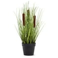 thumbnail image 1 of Herbe en Pot, 1 of 2