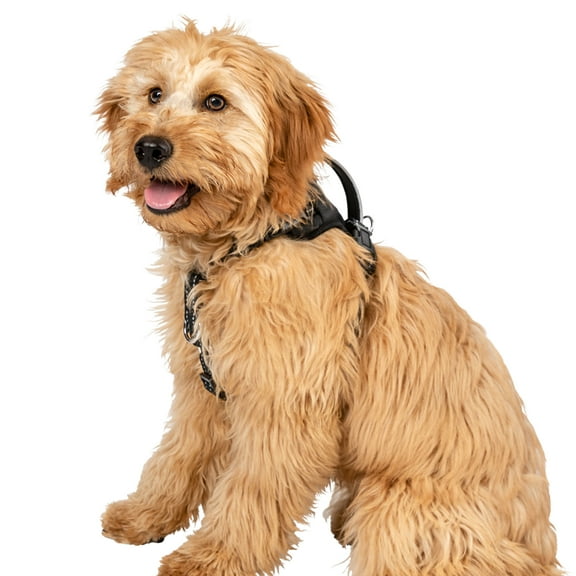 Premier Pet No Pull Comfort Harness for Small Dogs- Padded with Reflective Stitching