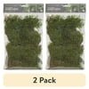(2 pack) Planter and Terrarium Sheet Moss, Green, 2 oz. Bag, 1" L x 7" Wide x 11" H, Indoor / Outdoor Use