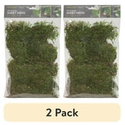 (2 pack) Planter and Terrarium Sheet Moss, Green, 2 oz. Bag, 1" L x 7" Wide x 11" H, Indoor / Outdoor Use