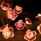 thumbnail image 2 of Wosthever Cuerdas de iluminación de flores de cerezo, luces de cadena de flores LED impermeables, luz de decoración para boda, fiesta, San Valentín Iluminación y accesorios Numero 3 Wosthever HA043369-03, 2 of 6
