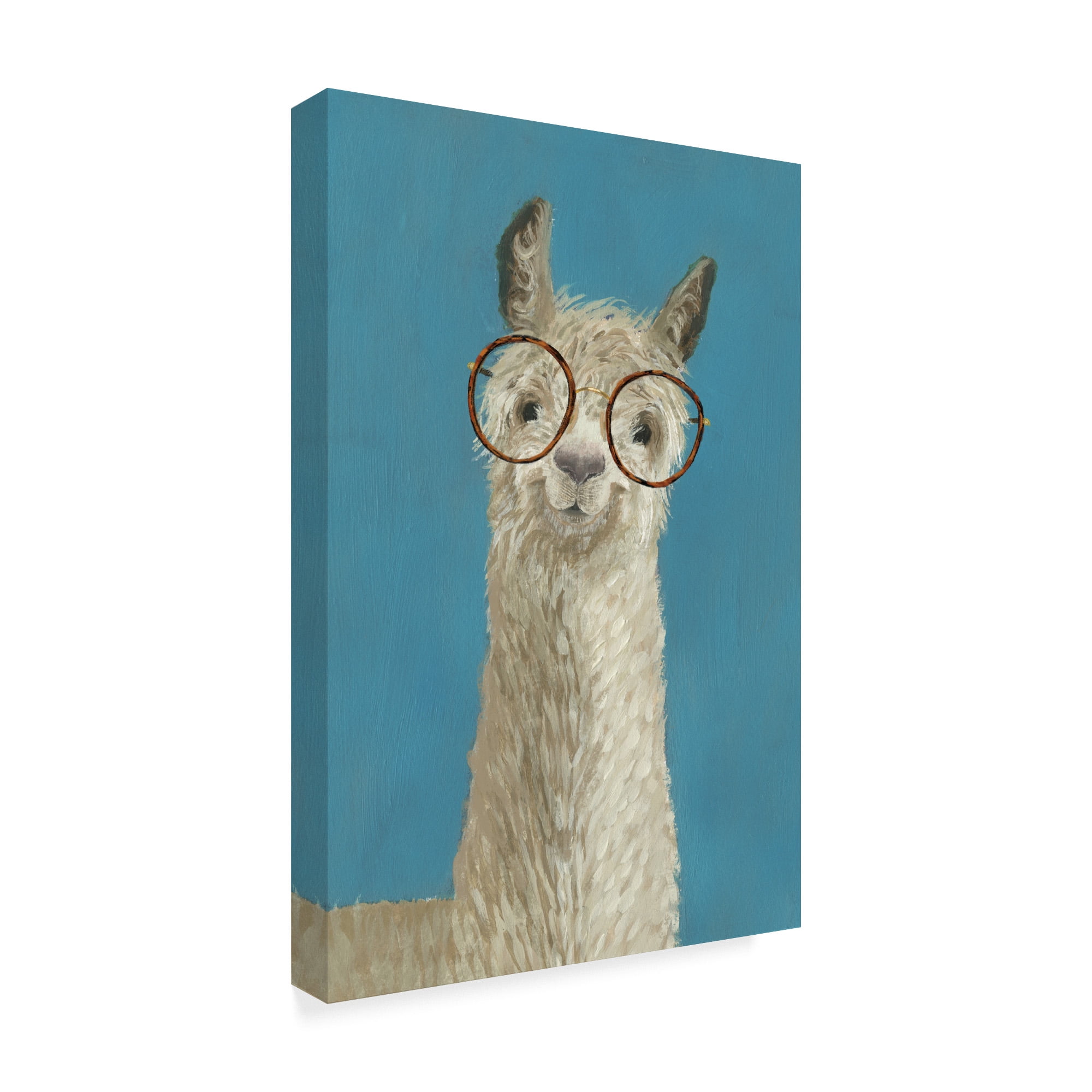 Trademark Fine Art 'Llama Specs III' Canvas Art by Victoria Borges