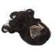 thumbnail image 1 of Peluca Rizada, Peluca Marrón Oscuro Elegante Resistente Al Calor Ajustable Para Niña Para Evento De Cosplay, 1 of 7