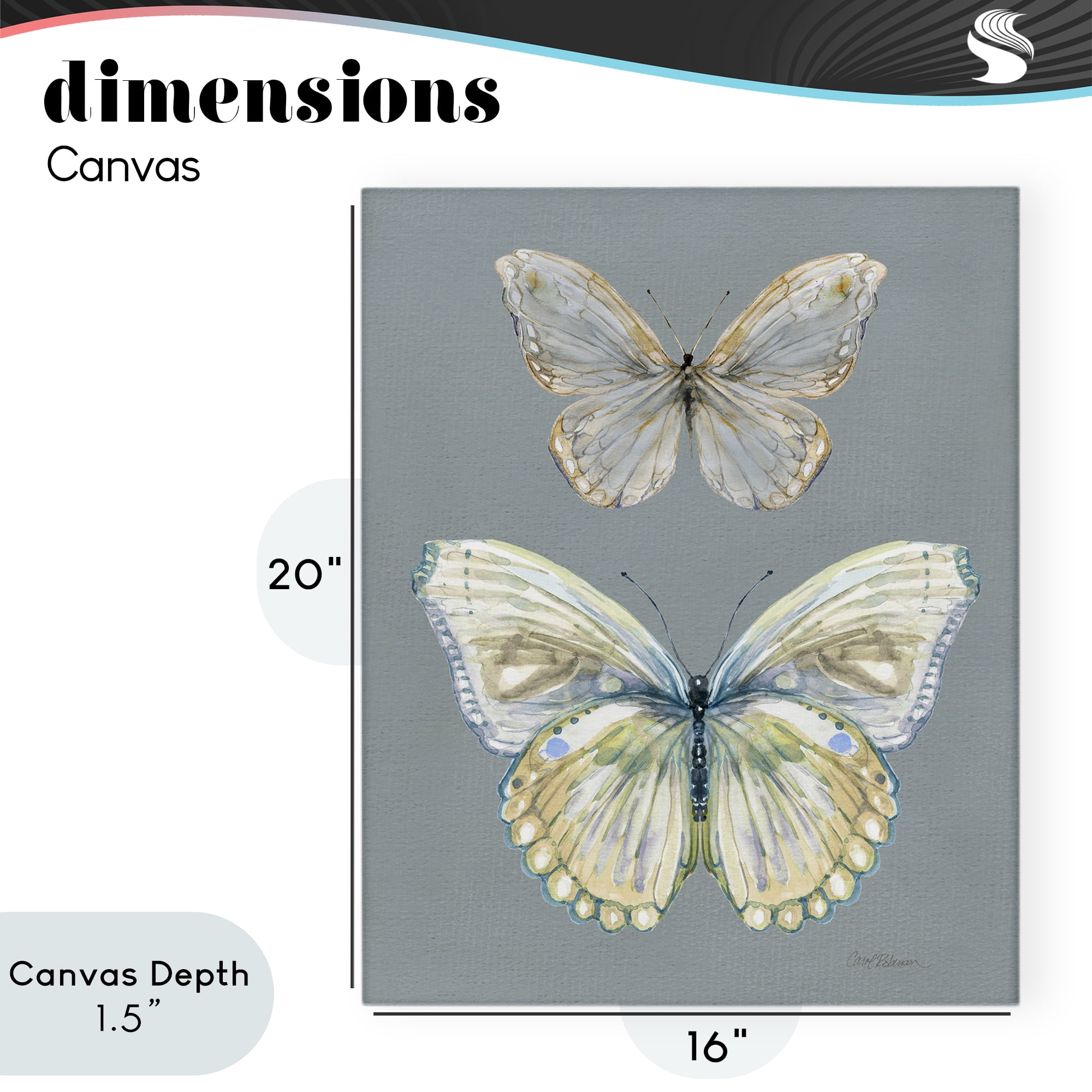 Stupell Industries Butterfly Pair Study Canvas Wall Art, design by Carol Robinson