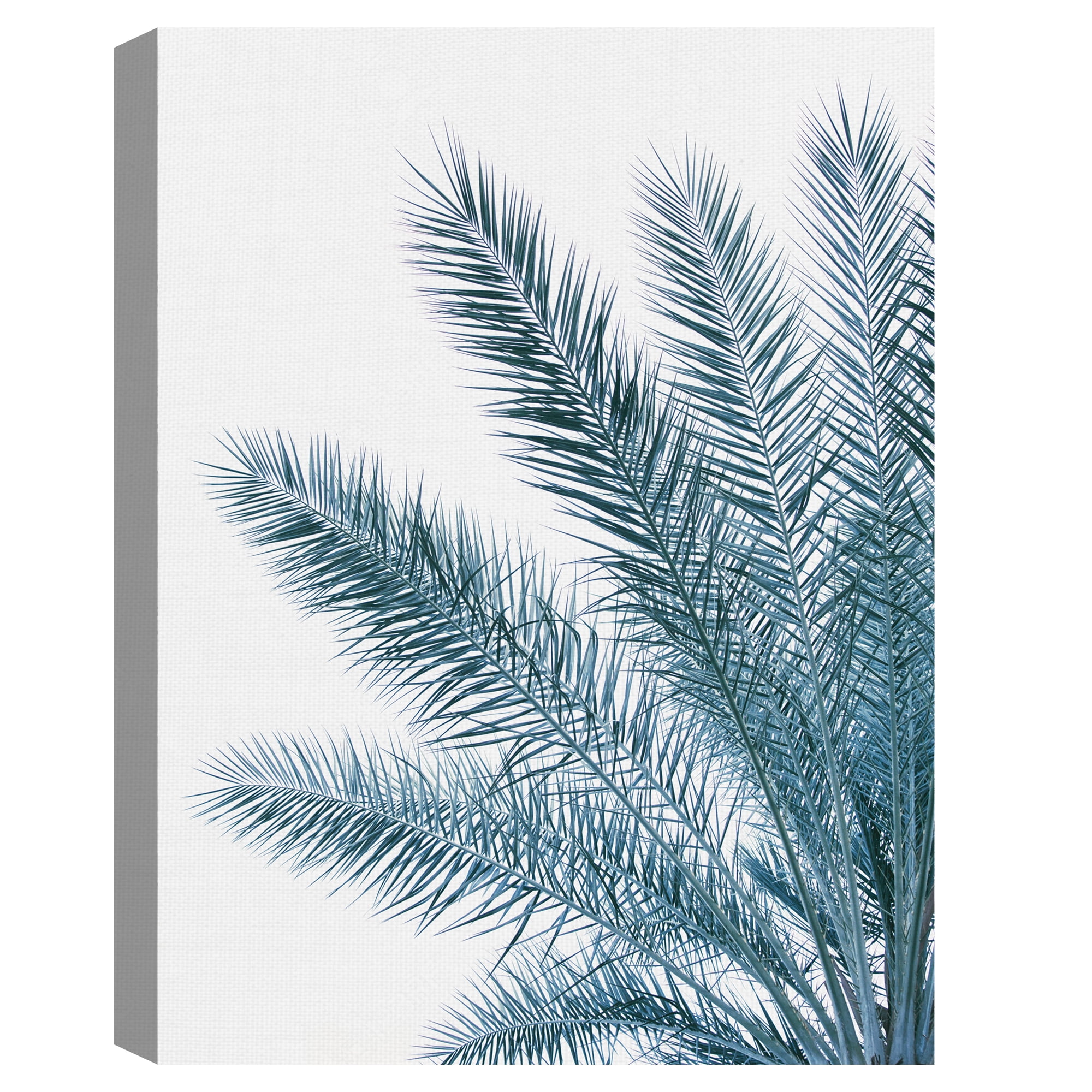 Palm Fresh by Irene Suchocki Palm Tree Photo Canvas Art