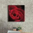 thumbnail image 3 of Epic Graffiti 'The Red Rose I' by Lori Deiter, Canvas Wall Art, 18"x18", 3 of 8