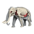 thumbnail image 4 of DOMELAY Animal Body Model Classroom Body Organ Parts for Study Tool Ages 8+ Children 3109, 4 of 9