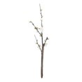 thumbnail image 1 of Arreglo Floral De Ramas Artificiales De Ciruelo Para Jardín, Oficina, Boda, Blanco, 1 of 8