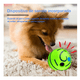 thumbnail image 3 of 11cm Pelota De Juguete Con Sonido Mascotas Belug , Verde con líneas Negras, 3 of 4