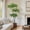 6FT, variant on 5/6ft Artificial Olive Tree, Faux Multi-Ball Topiary Tree in Pot,Simulation Shady Lady Tree for Indoor Modern Home Decor, Maintenance-Free Tall Floor Plant for Living Room, Office, and Corner