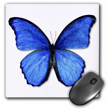 3dRose Photo Illustration Blue Butterfly, Mouse Pad, 8 by 8