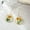 F, variant on Dried Flower Earrings Women Real Floral Earrings Resin Flower Earrings Jewelry-F