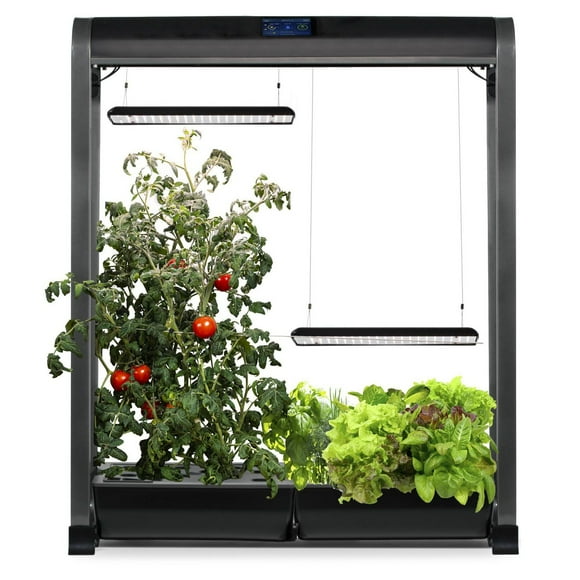 AeroGarden Farm 24 XL noir avec kit de capsules de semences Comptoir à salades
