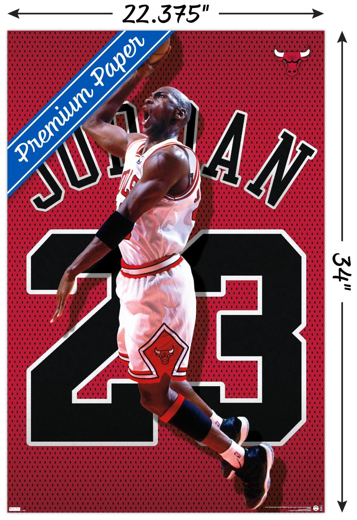 Michael Jordan - Jersey Wall Poster, 22.375" x 34"