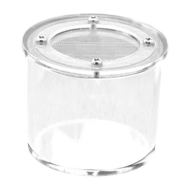 Caja de araña para cría de reptiles, acrílico, transparente, práctica, para terrario de cría. Redondo