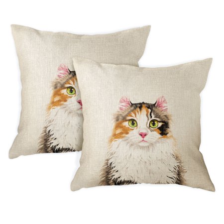 Fincibo 18x18 Inch 2 Piece Set Square Decorative Throw Sofa