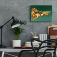 thumbnail image 6 of Epic Art 'Nuts' by Harro Maass, Acrylic Glass Wall Art, 16"x12", 6 of 8