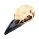 thumbnail image 4 of Figura de calavera de Halloween, adorno de calavera, decoración, collar, decoración de Halloween para 59 mm x 24 mm x 22 mm, 4 of 9