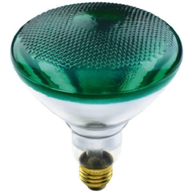 Globe Electric 70893 100W BR38 Westpointe Flood Beam Accent Reflector