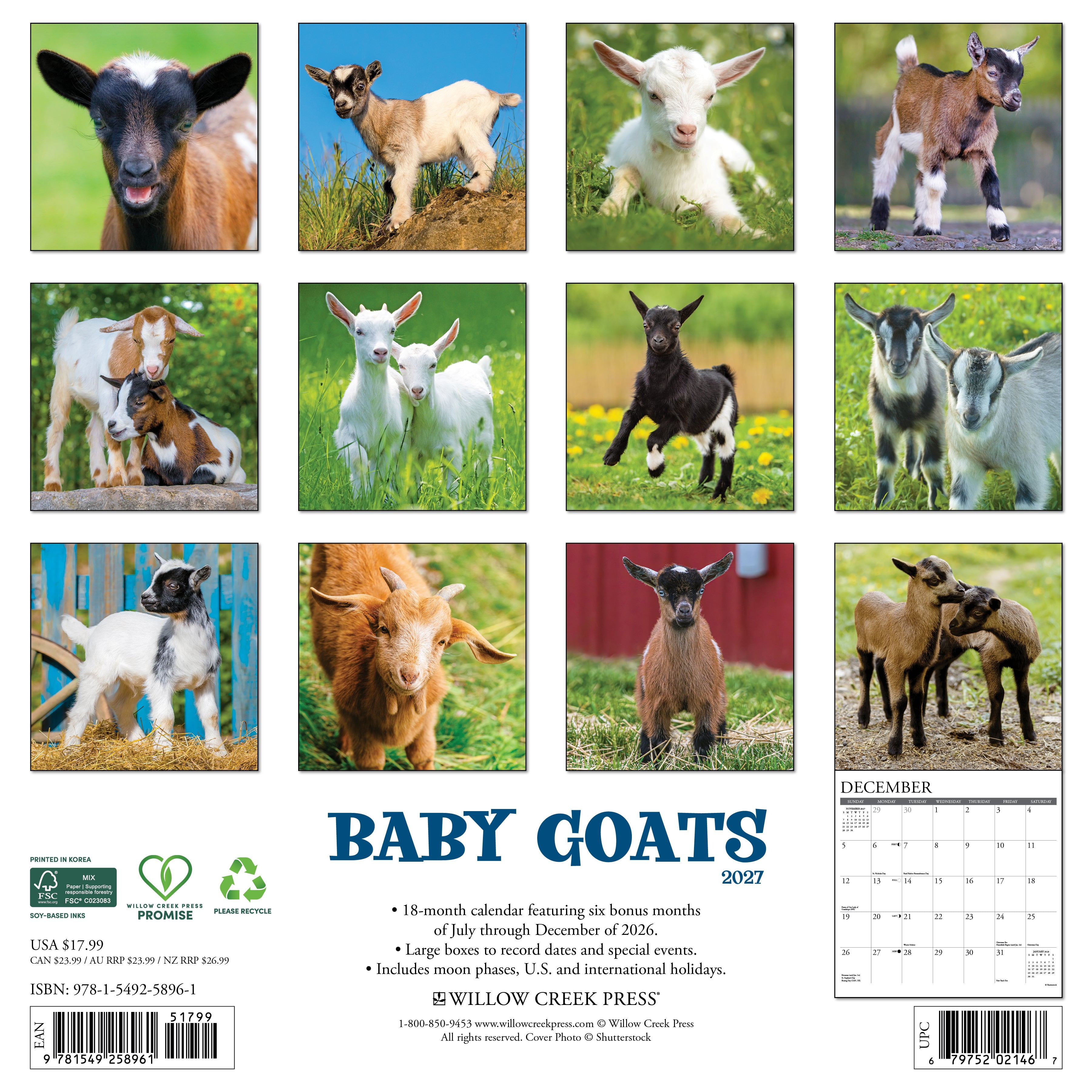 Willow Creek Press, Baby Goats 2027 Wall Calendar