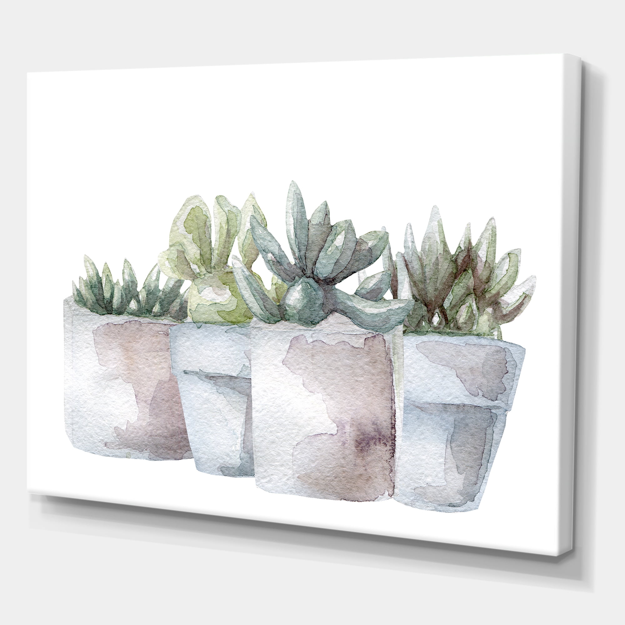 Designart ' Succulent and Cactus House Plants III ' Farmhouse Canvas Wall Art Print