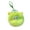 Green, variant on Pink Fluffy Ball Keychain Soft Velvet Car Key Chain Pendant Cute Doll Keyring for Keys Backpack Purse Bag Ornament Zipper Pull Mini Portable Decorative Gift for Women Friends Family 3.15 Inch