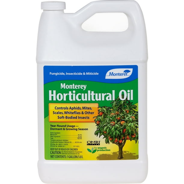 HORTICULTURAL OIL GALLON CONCENTRATE