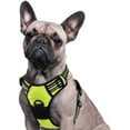 thumbnail image 1 of Dog Harness Harness for Small and Medium Dogs Anti Pull Chest Harness No Pull Safety Harness Auto Dog Harness Labrador Puppy Harness Jogging Escape Proof Soft Padded (Green,M), 1 of 5