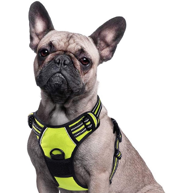 Dog Harness Harness for Small and Medium Dogs Anti Pull Chest Harness No Pull Safety Harness Auto Dog Harness Labrador Puppy Harness Jogging Escape Proof Soft Padded (Green,XL)
