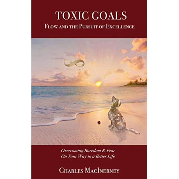 Toxic Goals, Flow and the Pursuit of Excellence: Overcoming Boredom & Fear on Your Way to a Better (Paperback) by Charles Macinerney