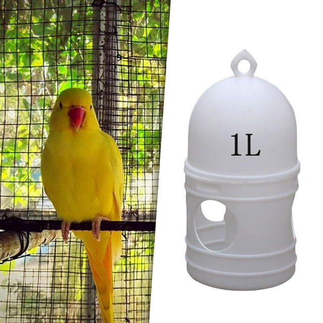 Dispensador de Agua de Plástico para de Gran Capacidad, Botella Colgante, Olla de Agua, Dispensador Automático de Agua para Pájaros, Accesorio