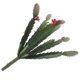 thumbnail image 2 of Faux Suculentas mini suculentas artificiales Desk Sucesulles plantas plantas de escritorio de oficina lindas elige accesorios de oficina en el hogar plantas artificiales decorativas, 2 of 4