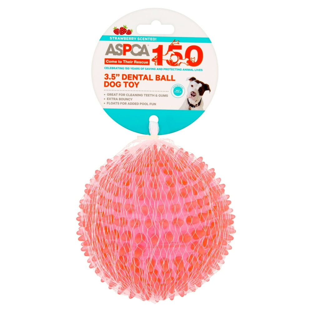 ASPCA 3.5" Dental Ball Dog Toy