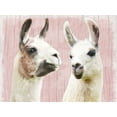 thumbnail image 2 of Prime, Marcus 24x19 White Modern Wood Framed Museum Art Print Titled - Llama Love, 2 of 4