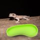 thumbnail image 4 of COSMOBETTY 4Ud Plato De Para Reptiles Alimentador De Práctico Y Decorativo, 4 of 8