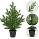 thumbnail image 1 of Árbol de Navidad de mesa de 48 cm con guirnalda de luces | Mini árbol de Navidad artificial para decorar el escritorio, la ventana y el pasillo | Decoración para fiestas navideñas en interiores, 1 of 5