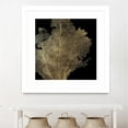 thumbnail image 3 of Giant Art 30x30 Honey Comb Coral I Matted and Framed in Multi-Color, 3 of 3