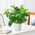 thumbnail image 4 of Artificial Green Potted Plants Simulation Small Faux Plant with Pot Decorative Plastic Greenery for Home Office Desk Tabletop Living Room Hotel Lobby Decoration, 4 of 6